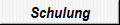 Schulung